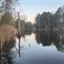 Beautiful Forest-Enclosed Lake in Duplin County