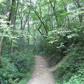 Linville Falls