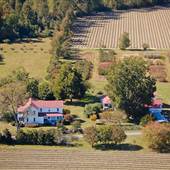 Bloom Farms