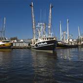 Oriental Marina and Inn