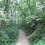 Linville Falls