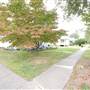Edenton Cotton Mill Village