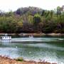 Panther Creek