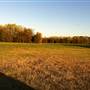 SMITH FAMILY FARM