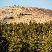 Black Balsam Mountain