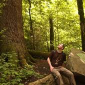Graham County Forests