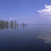 Lake Mattamuskeet
