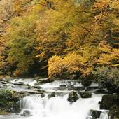 Swain County Area Photos