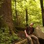 Graham County Forests