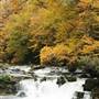Swain County Area Photos