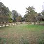 Hayes Plantation
