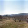 Sky Top Orchard