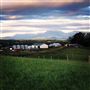 Looking Glass Creamery