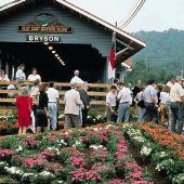 Great Smoky Mountain Railroad