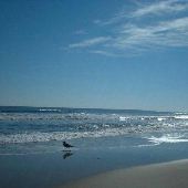 Carova Beach