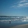 Carova Beach