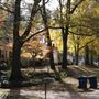 Fall in Raleigh & Durham