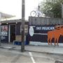 The Fat Pelican
